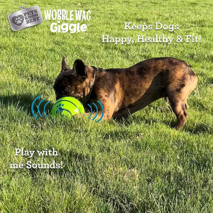 Interactive Silicone Dog Treat Dispenser Ball - Durable Chew Toy for Training and Play, Ideal for Indoor and Outdoor Use