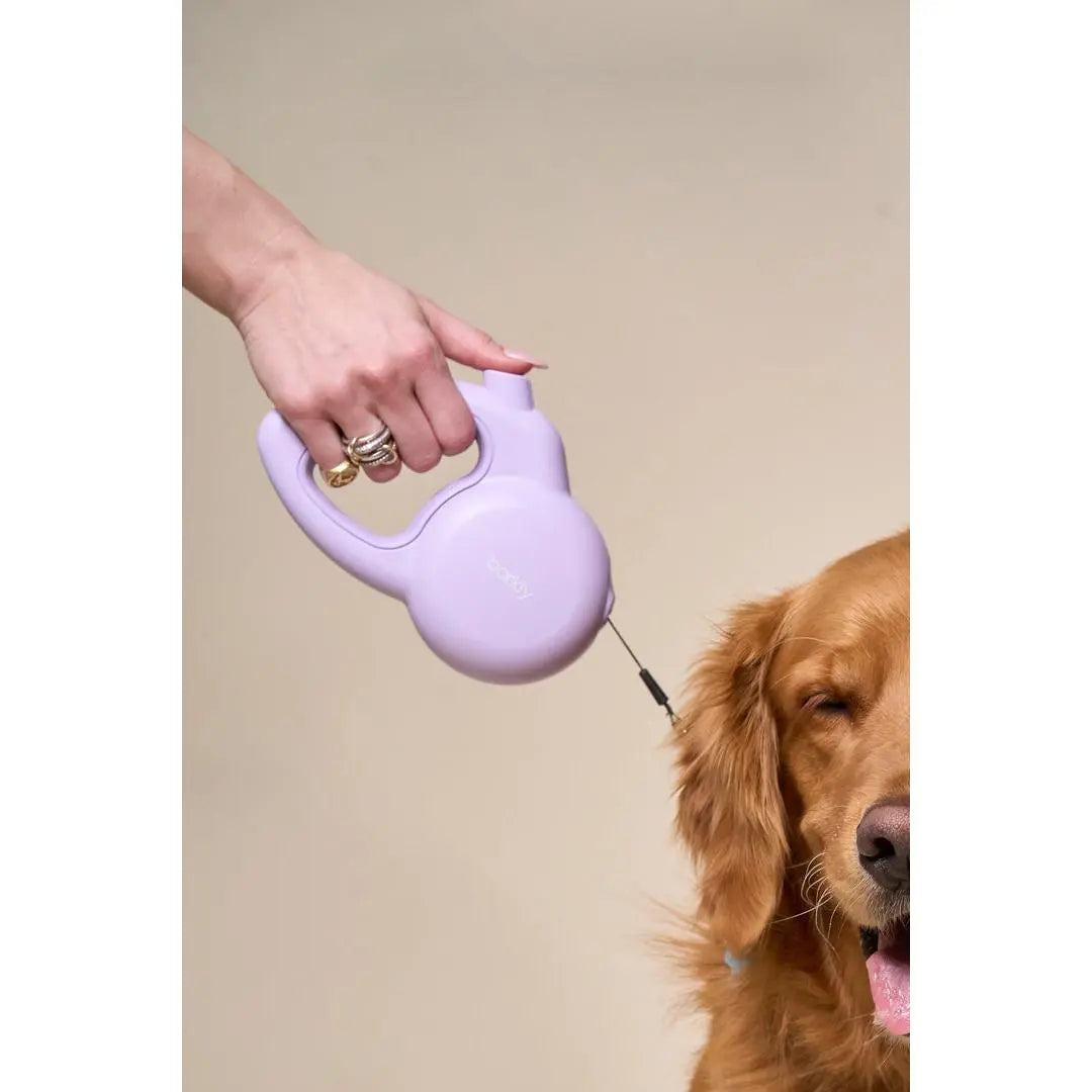 Barkly Leash with Integrated Personal Safety Alarm in Lilac